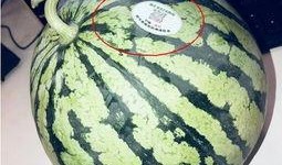 吃瓜最新 网红排行榜,吃瓜群众眼中的流量担当